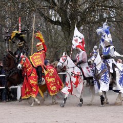 Mittelaltermarkt im Landgestüt; Bild: Was fürs Auge: Die Aktionen der Rittersleut hoch zu Ross; 
Copyright by
Jo Steinmetz
DJV-Bildjournalist
Tel. (0 63 38) 99 30 25
Mobil (0170) 90 21 752
eMail: jo.steinmetz@gmx.net
URL: www.jo-steinmetz.com