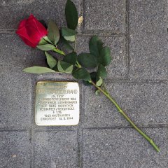 Stolperstein für Otto Scheuerbrand: Maxstraße 52, Ludwigshafen (verlegt am 28.10.2019) Stolperstein für Otto Scheuerbrand: Maxstraße 52, Ludwigshafen (verlegt am 28.10.2019)
