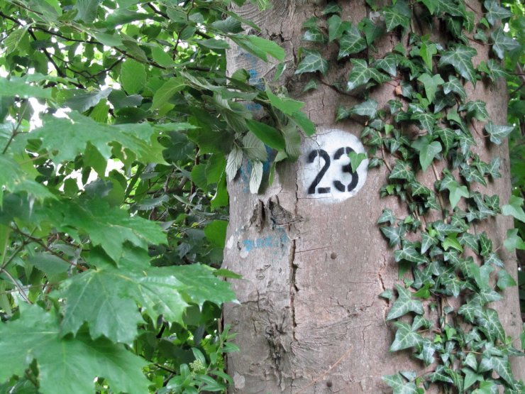 20Markierung23 20Markierung23