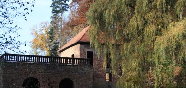 IMG_6880 IMG_6880