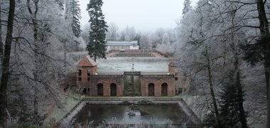 Hagebutt im Schnee