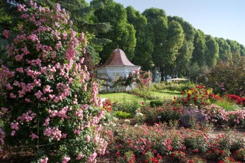 Rosengarten im Sommer Rosengarten im Sommer