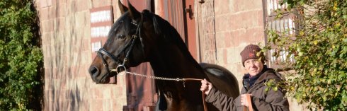 PferdLandgestütZweibrücken