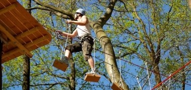 fun-forest-laufbretter.jpg