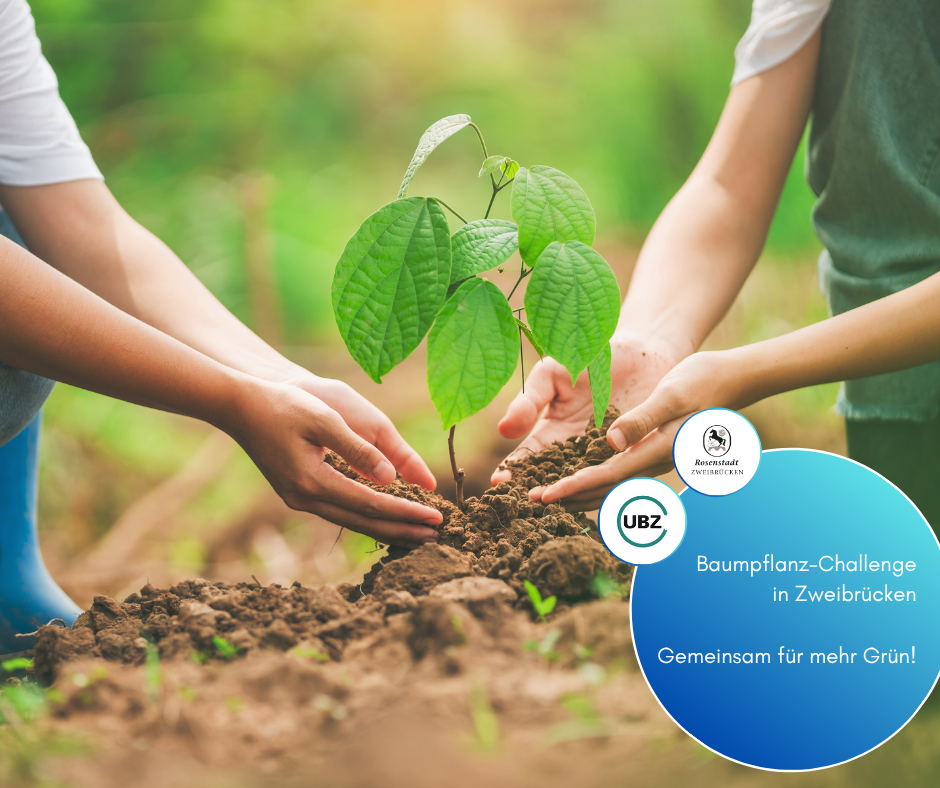 Facebook-Beträge_2025 - 78