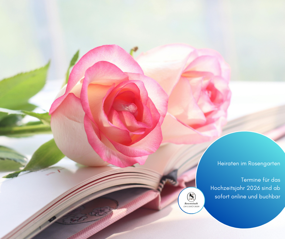 Facebook-Beträge_2025 - 72