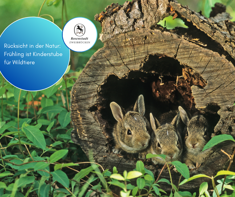 Facebook-Beträge_2025 - 26