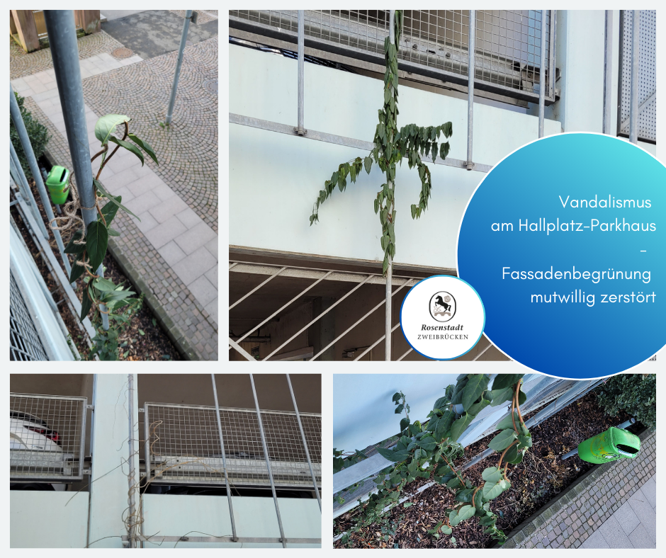 Facebook-Beträge_2025 - 19