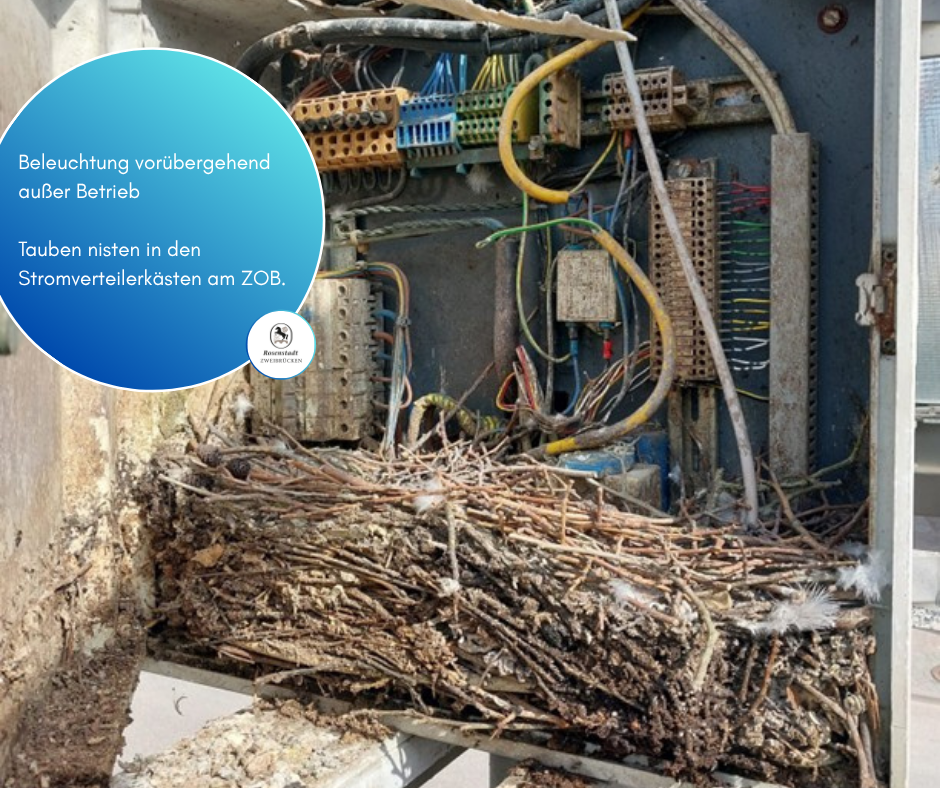 Facebook-Beträge_2025 - 137