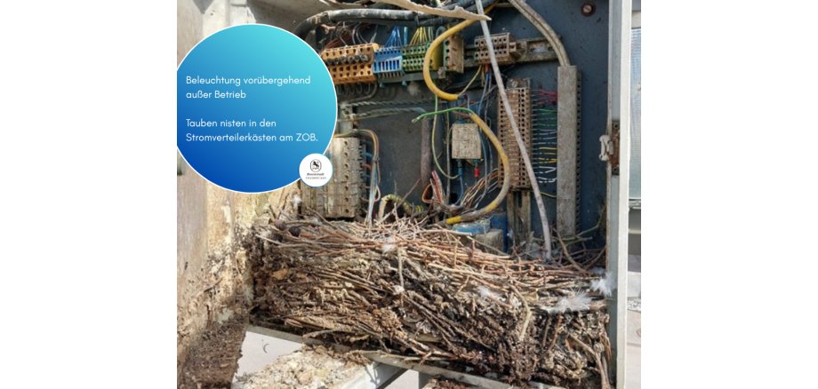 Facebook-Beträge_2025 - 137