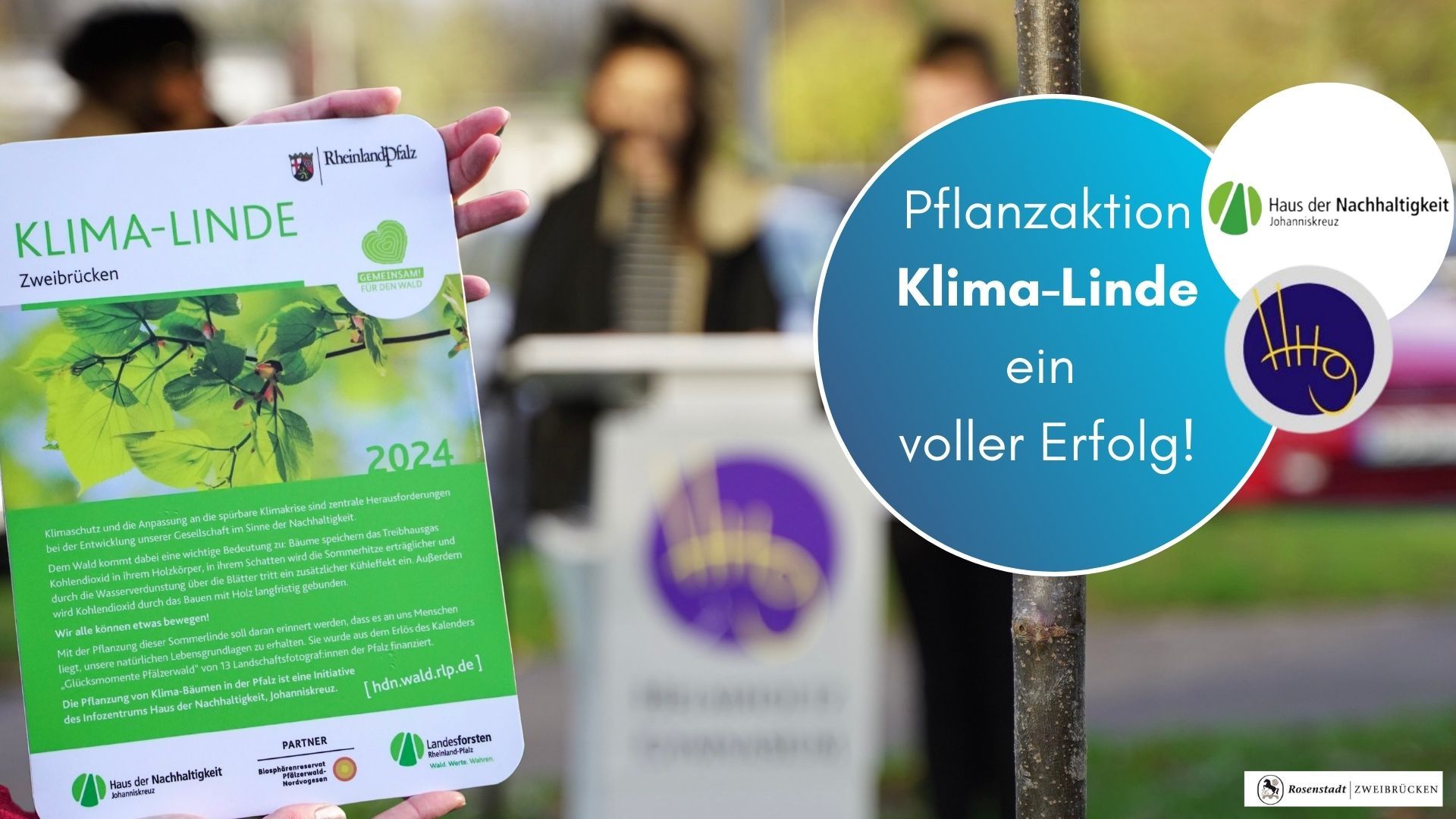 Kopie von Facebook_Infografik_2 - Klima-Linde Fazit 20.11.2024