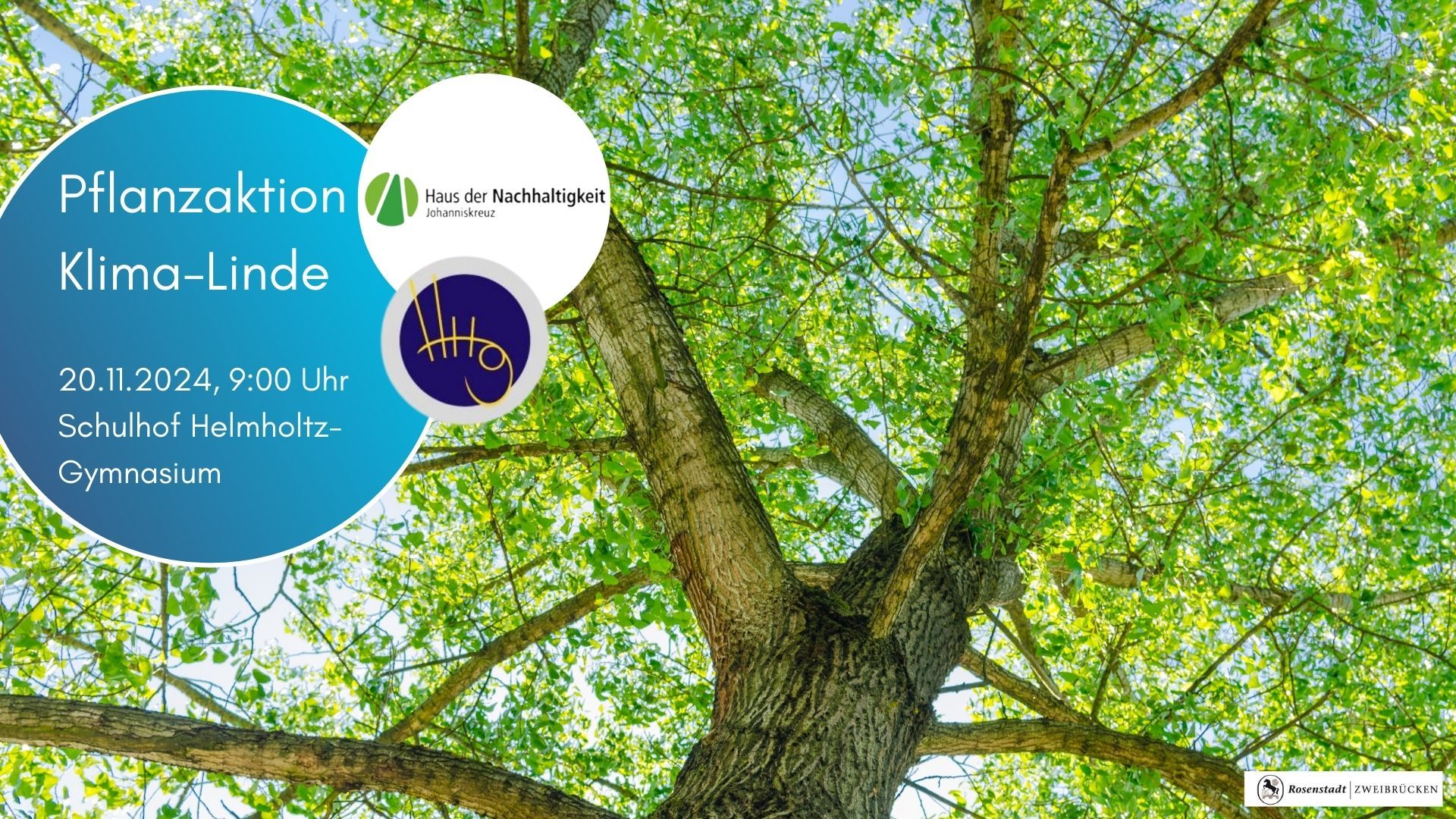 Kopie von Facebook_Infografik_2 - Klima-Linde 20.11.2024