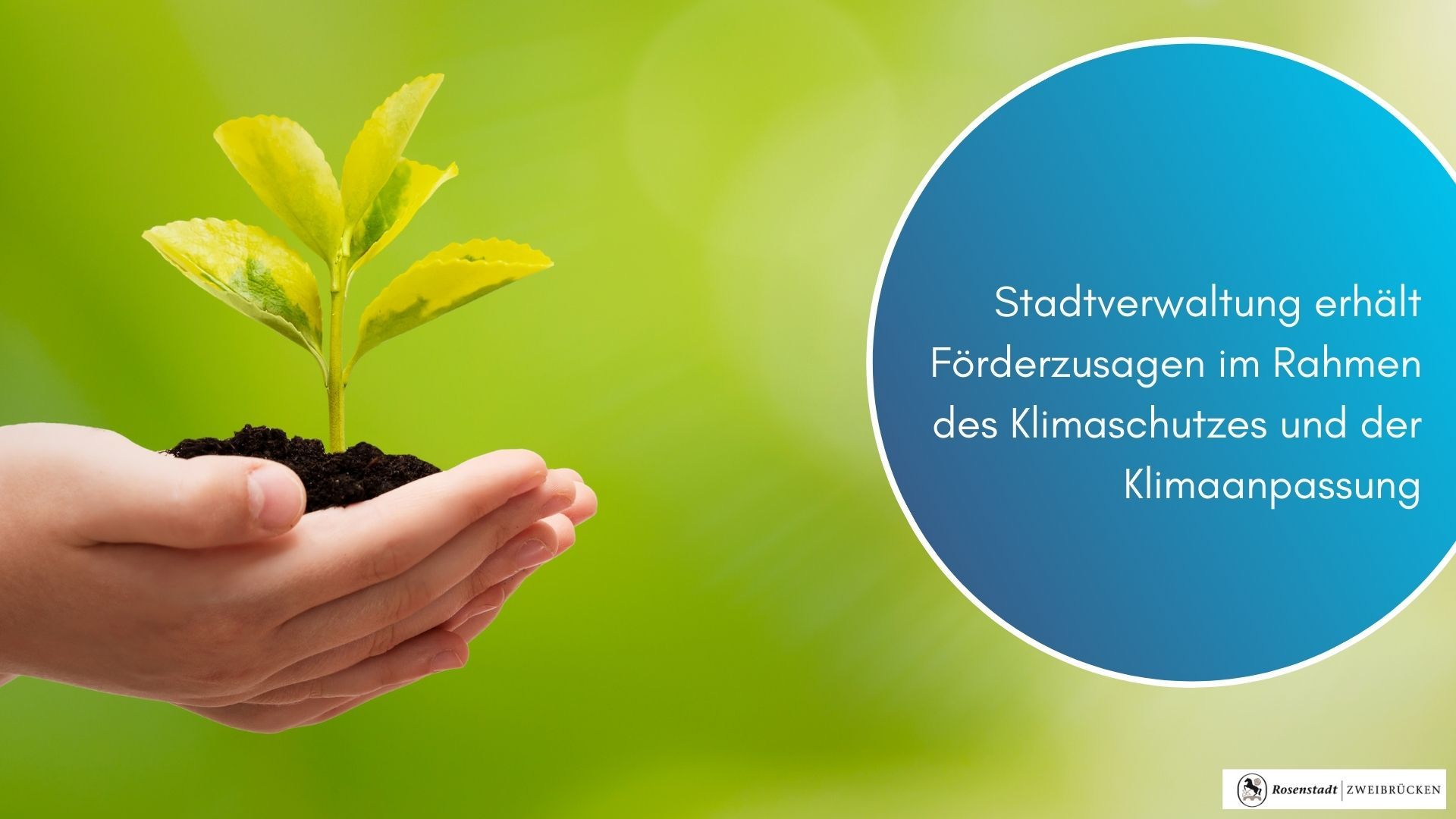 Facebook_Infografik_2 - 118