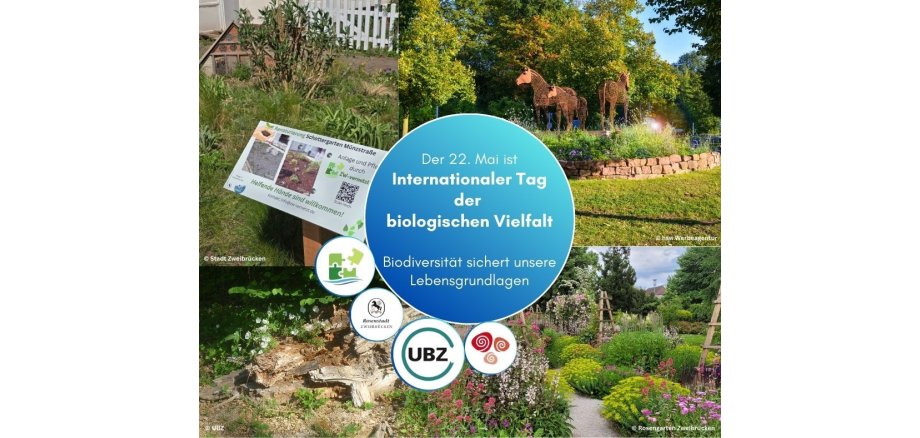 FB-Beiträge_2025_Klimabüro - 24. Internationaler Tag der biologischen Vielfalt