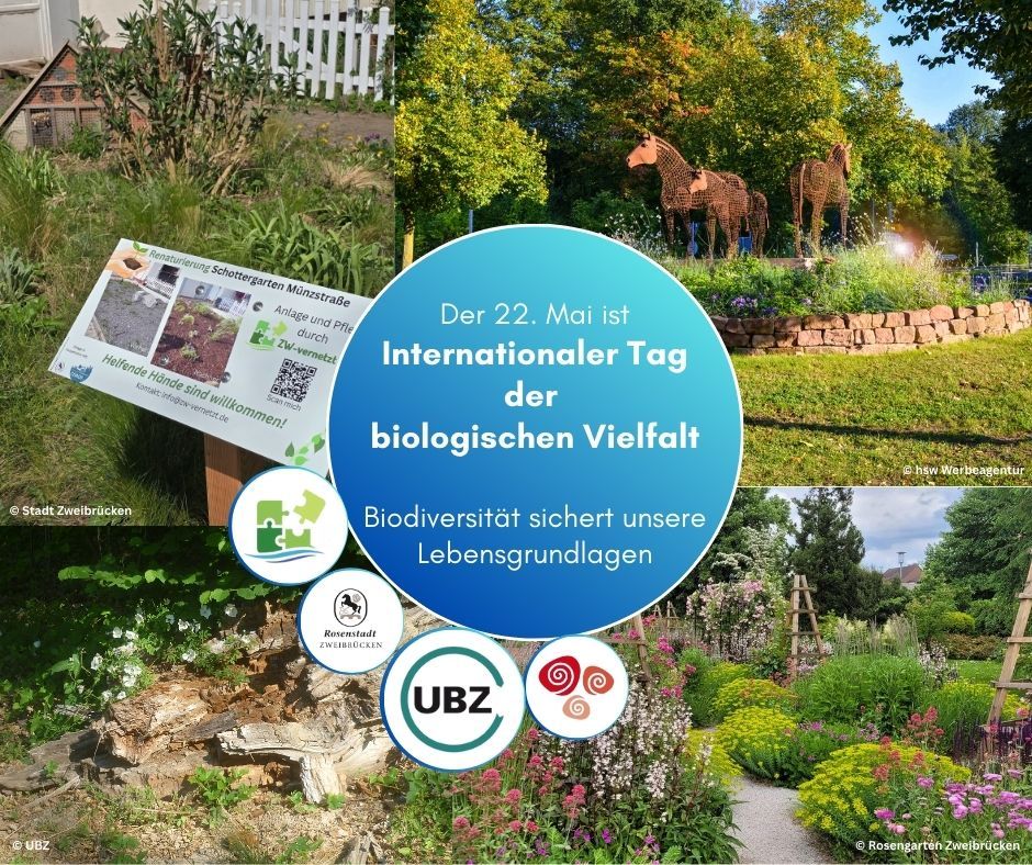 FB-Beiträge_2025_Klimabüro - 24. Internationaler Tag der biologischen Vielfalt