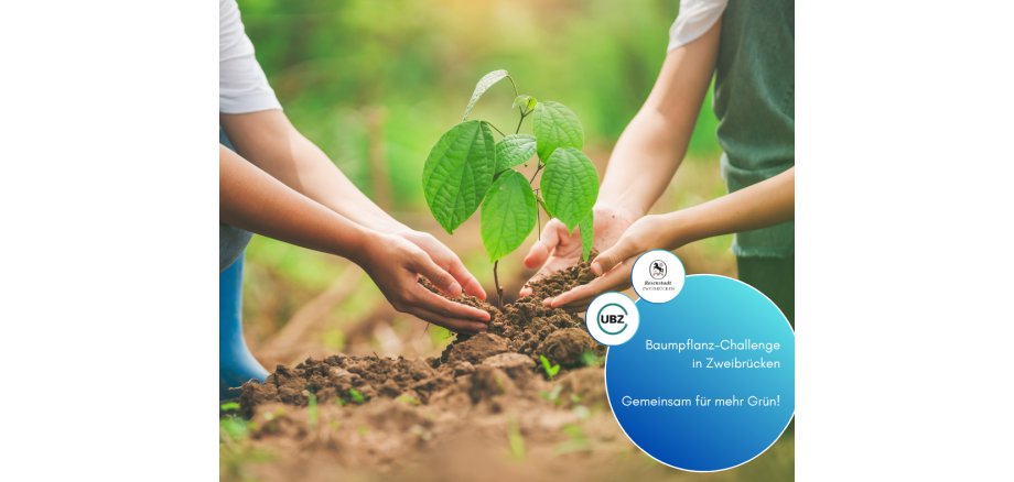 Facebook-Beträge_2025 - 78