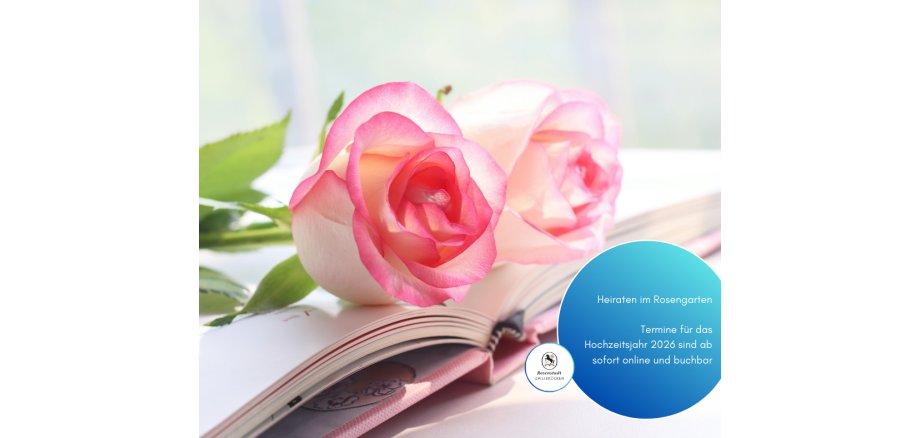 Facebook-Beträge_2025 - 72