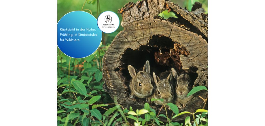 Facebook-Beträge_2025 - 26 Facebook-Beträge_2025 - 26