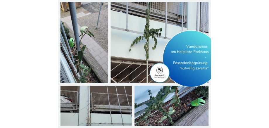 Facebook-Beträge_2025 - 19