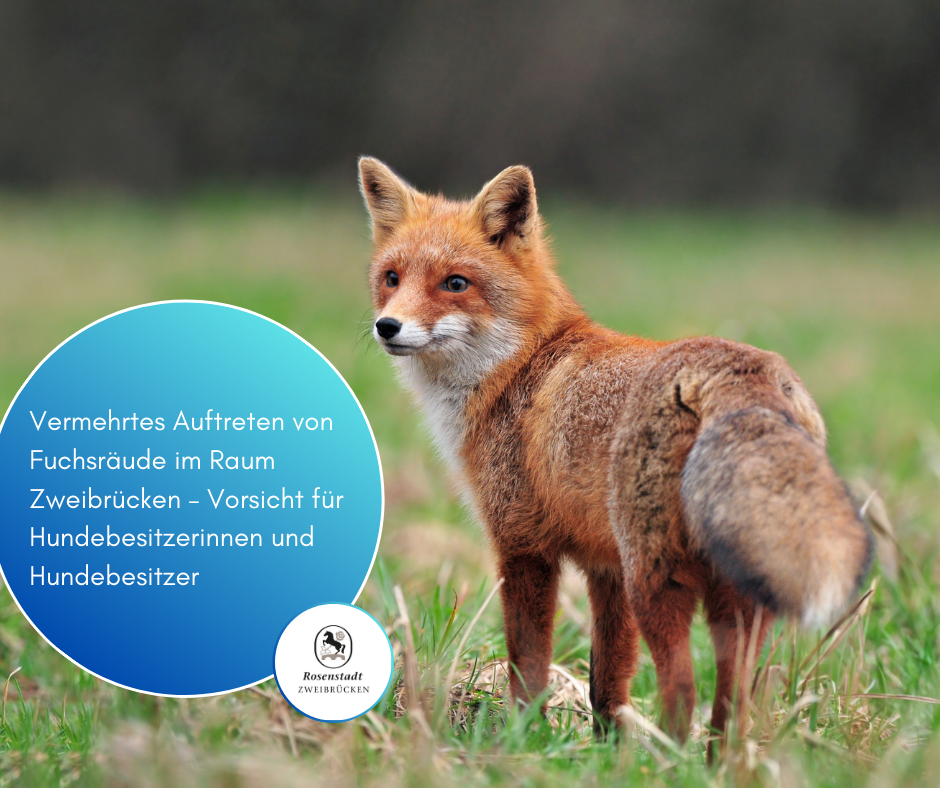 Facebook-Beträge_2025 - 17