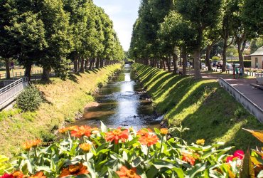 Grüne Lunge Zweibrücken: Blick auf den Schwarzbach; links und rechts davon die Allee