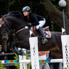 A-Springen / Landgestüt - Carolin Lena Schwender auf "Herr Leman"