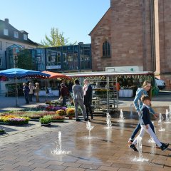 Zweibrücken Wasserstadt