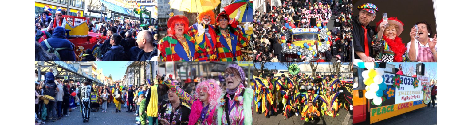 Reiner Fess - s Luiche