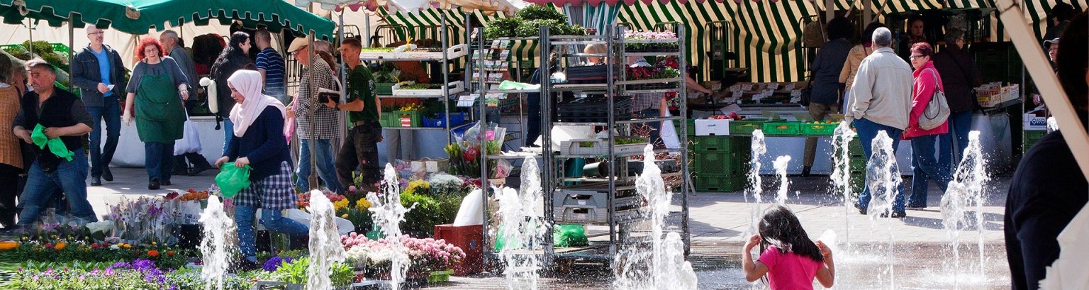 Markt auf dem Alexanderplatz Markt auf dem Alexanderplatz