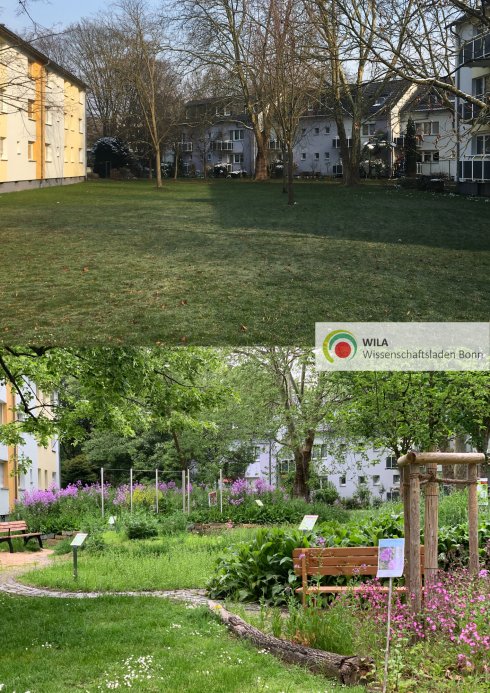 PikoPark vorher/nachher - 1 PikoPark vorher/nachher - 1