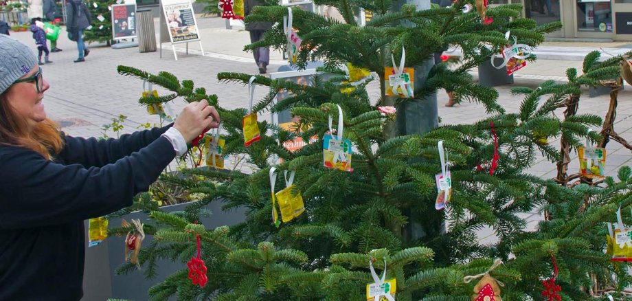 Weihnachtsbaumaktion 2019 in ZW-Innenstadt