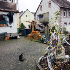 Halloween-Deko in der Tschifflicker Straße